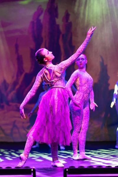 TECDA dance school